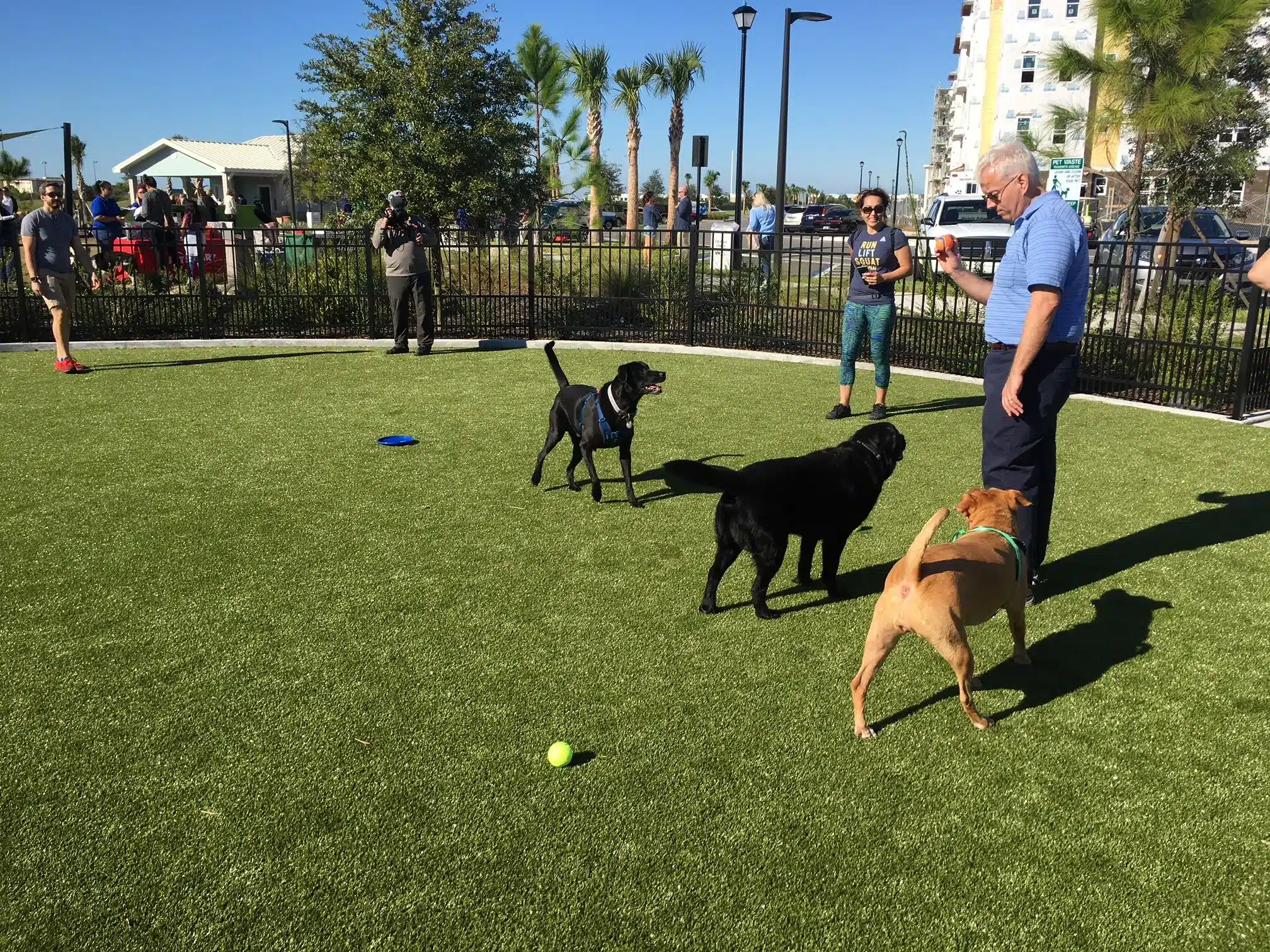 pet-ownership-in-florida