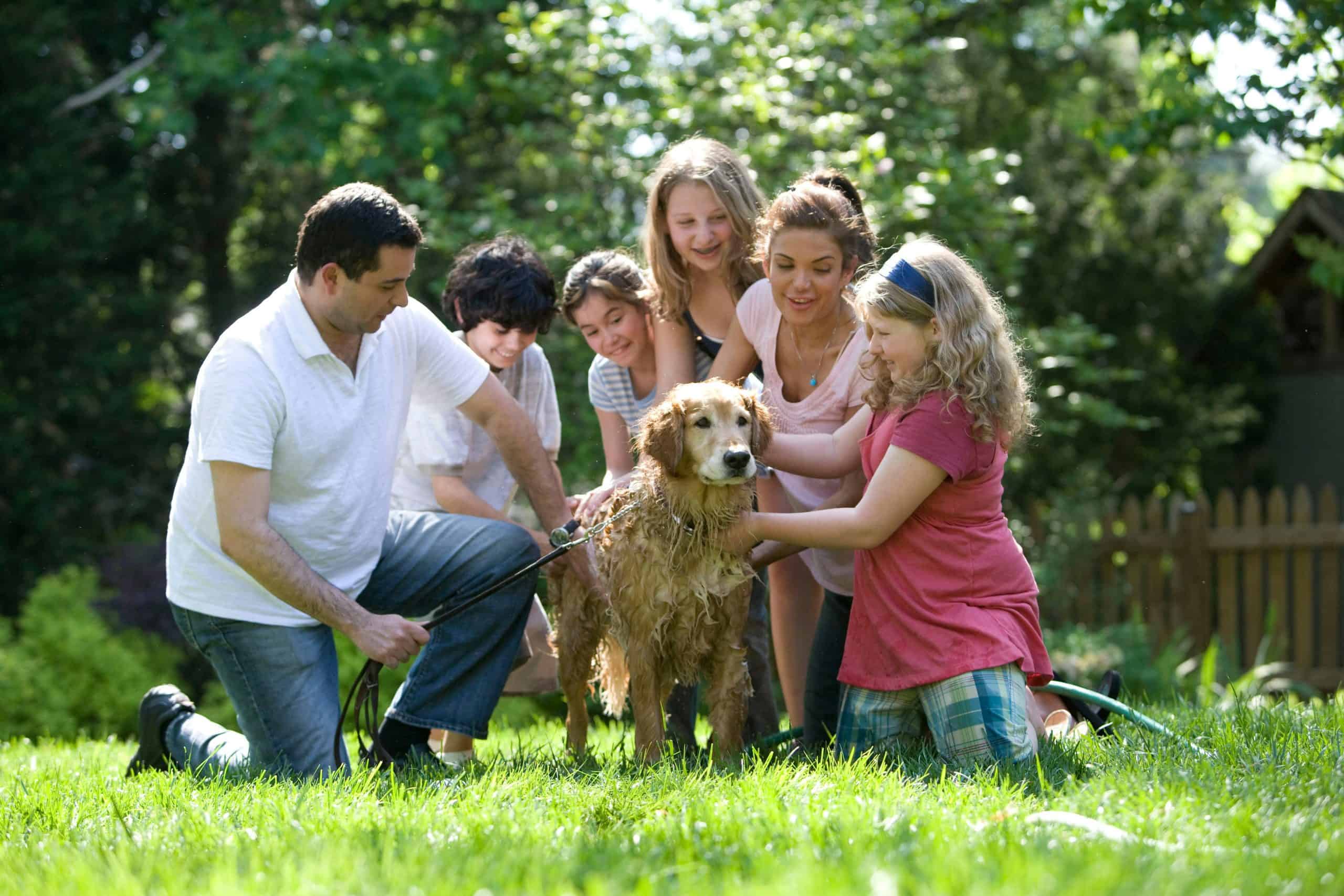 Best Dog Breeds for Active Families