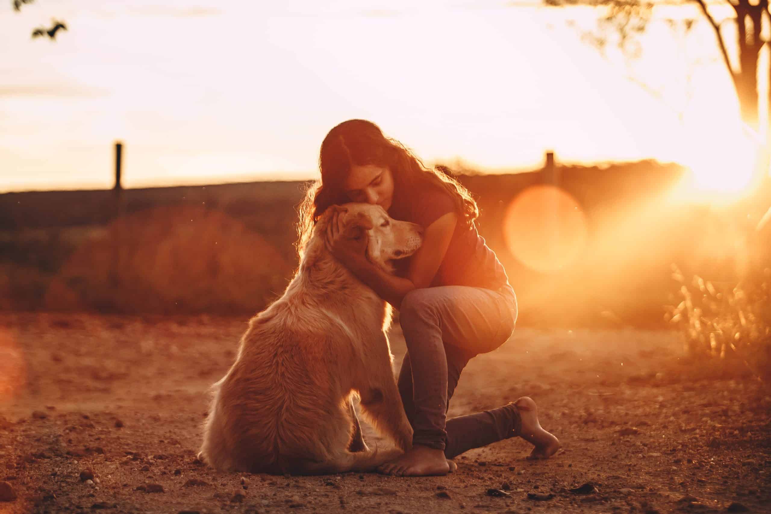 Best Dogs for Mental Health_ Golden Retriever or Labrador Retriever