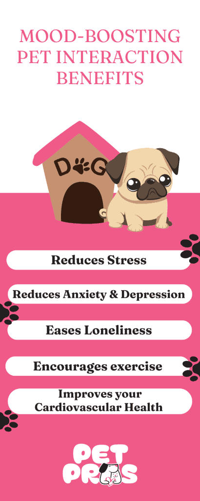 mood-boosting pet interaction benefits_therapy and emotional support animals