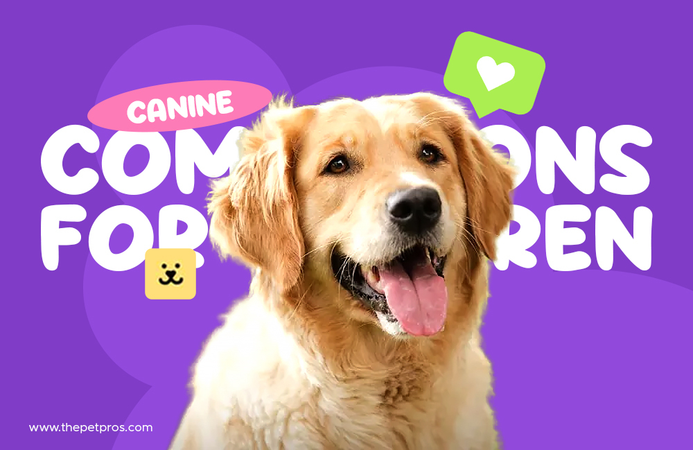 Canine Companions for Children with Autism Breeds