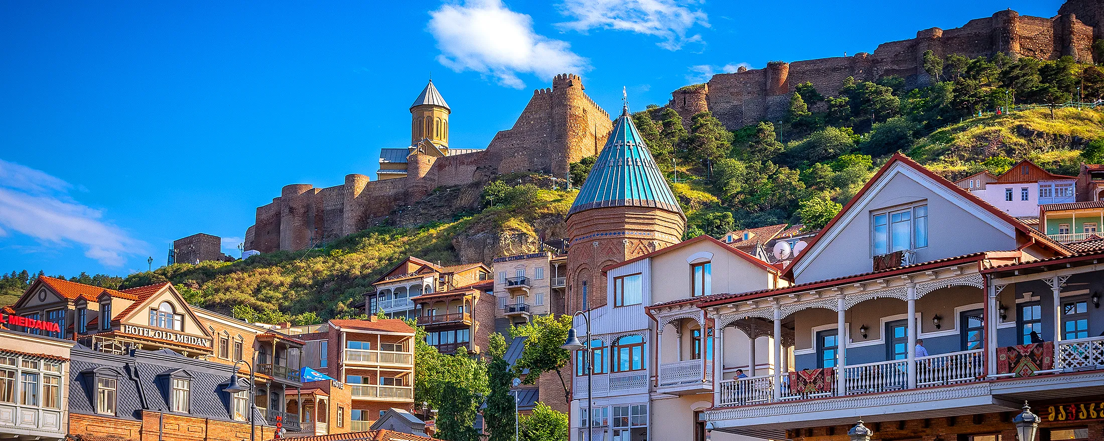 pet-ownership-in-georgia