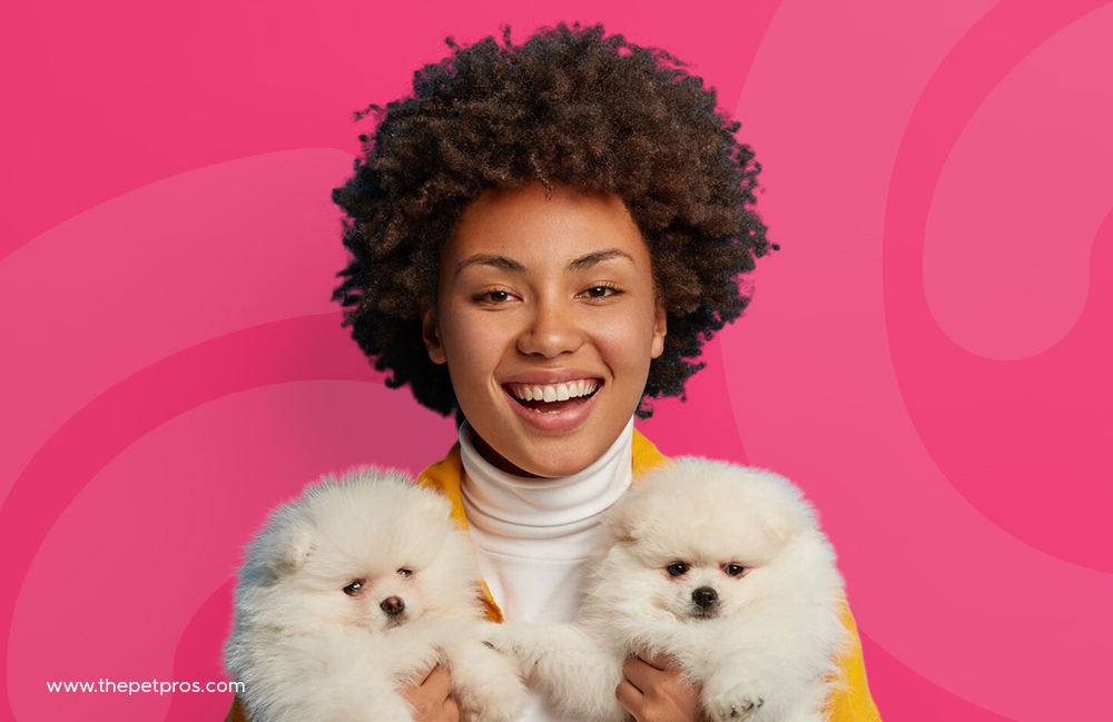 Best Pets for adults and children with ADHD