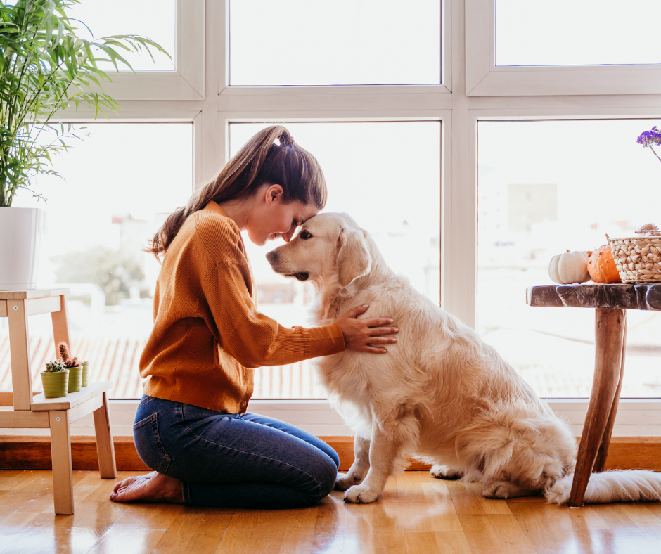 Best Therapy Dog Breeds for Depression