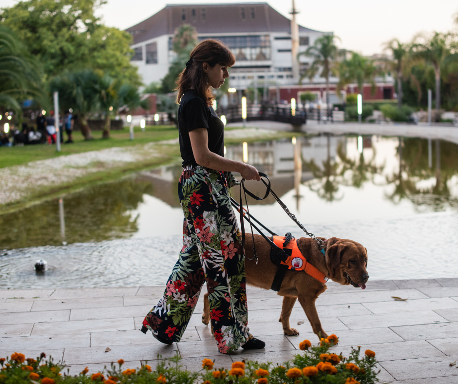 8 Surprisingly Best Service Dog Breeds for Adults with Autism