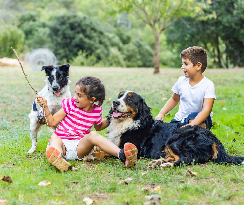 Key factors of the best dog breeds for children